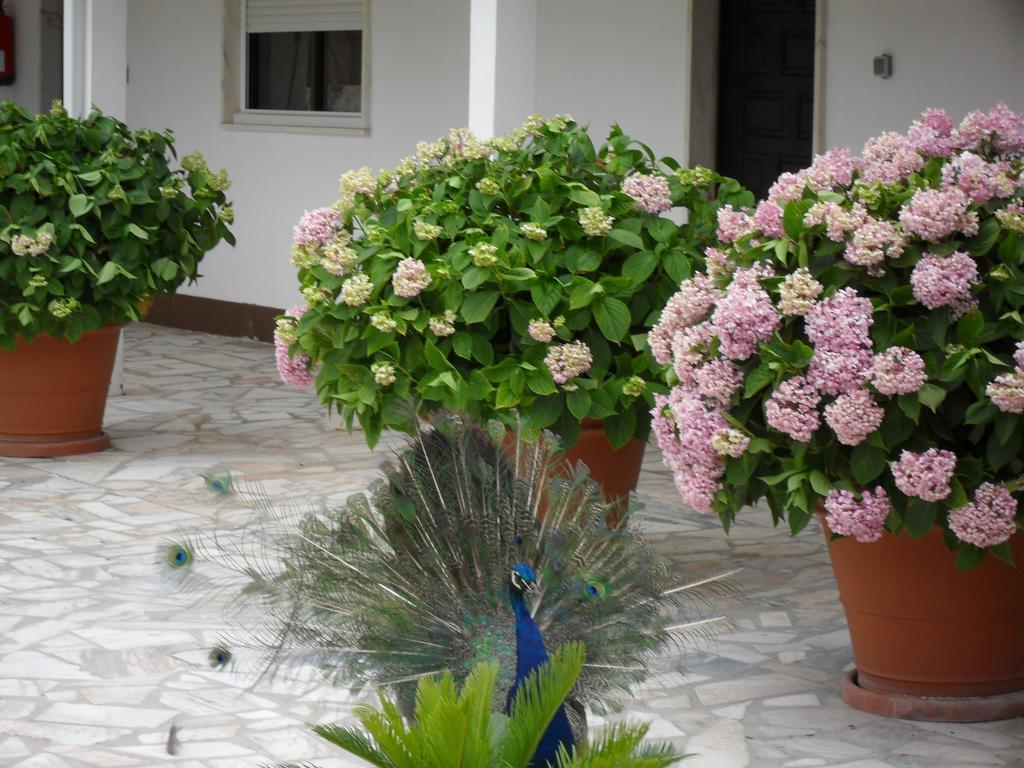 Lobateira Villas Fernao Ferro Dış mekan fotoğraf