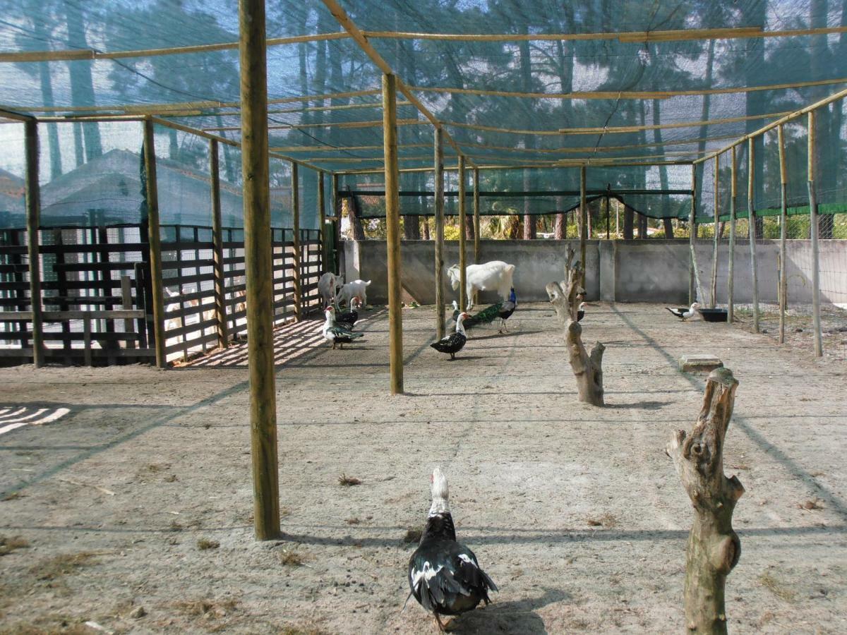 Lobateira Villas Fernao Ferro Dış mekan fotoğraf